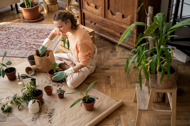 Pessoa transplantando plantas em novos vasos