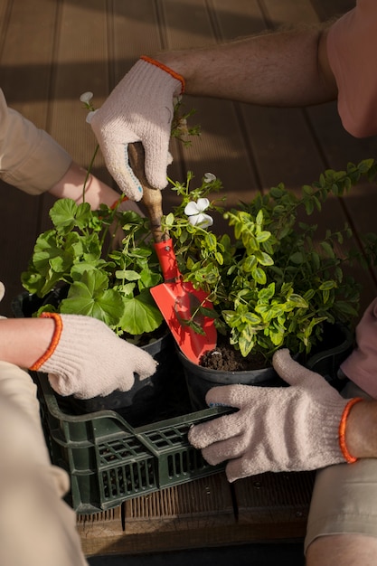 Foto grátis pessoas de alto ângulo jardinando juntas