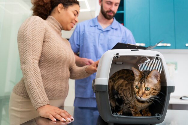 Pessoas de tiro médio na clínica veterinária