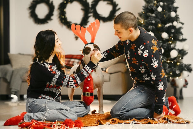 Foto grátis pessoas em uma decoração de natal. homem e mulher em camisolas de ano novo. família com cachorro grande.