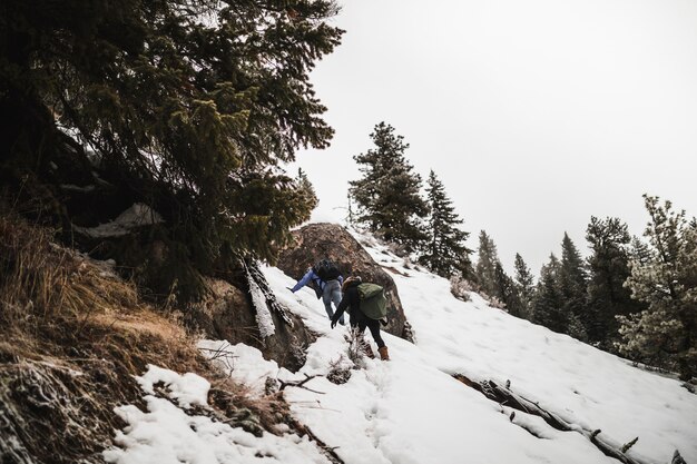 Pessoas, escalando, nevado, colina