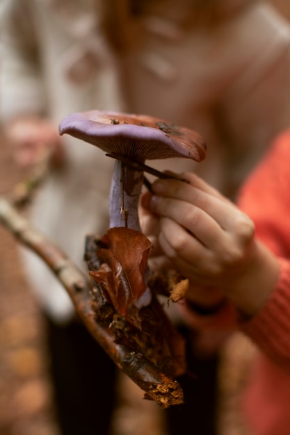 Pessoas recolhendo comida da floresta