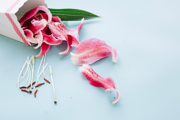 Foto grátis pétalas cor-de-rosa delicadas em copo branco