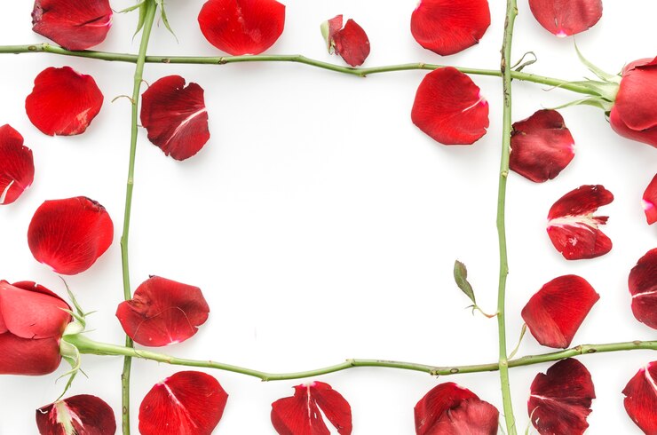Foto grátis pétalas de rosas vermelhas