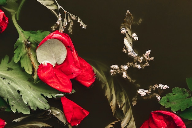 Foto grátis pétalas vermelhas na água preta