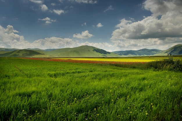 Foto grátis pian grande