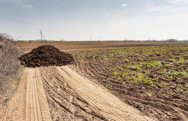 Pilha de esterco despejada em um campo por um fazendeiro para fertilizar a terra para a próxima colheita. agricultura