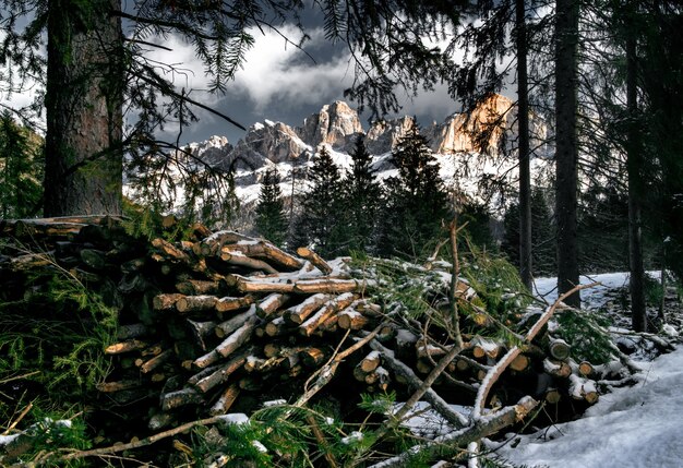 Pilha de madeira de árvore em uma floresta coberta de neve cercada por penhascos nas Dolomitas