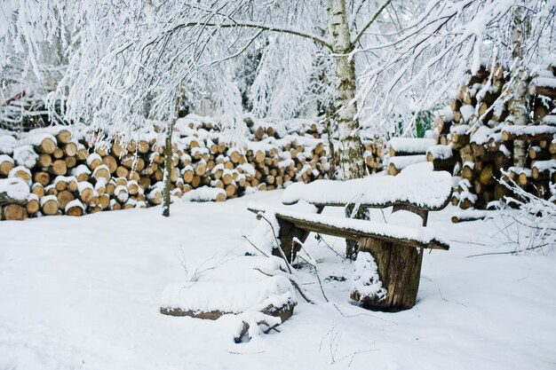 Pilha de pedaços de madeira cobertos de neve inverno