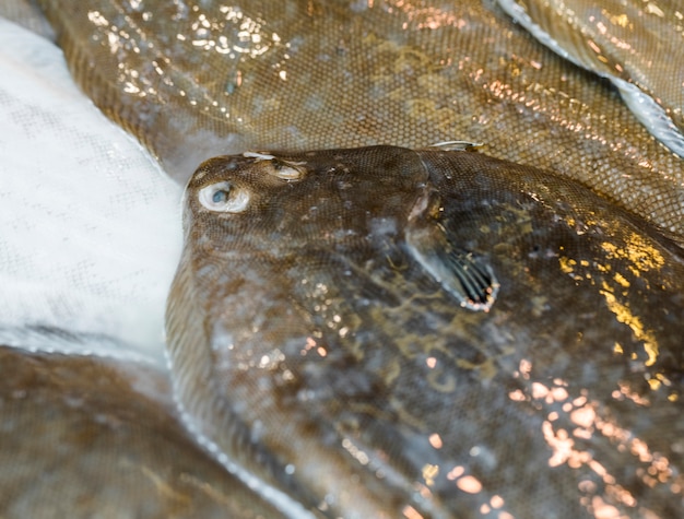 Pilha de peixe fresco no mercado de alimentos