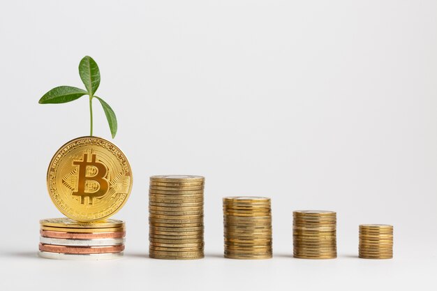 Pilhas de bitcoin com planta