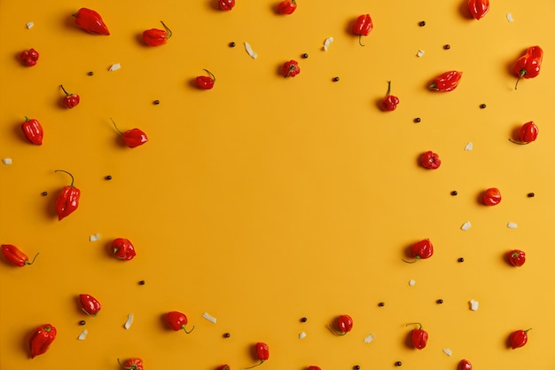 Pimenta vermelha habanero com grãos de pimenta e flocos de coco dispostos em círculos sobre fundo amarelo, copie o espaço no meio para sua receita ou outras informações sobre o ingrediente. conceito de vegetais