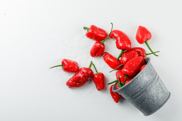 Pimentos vermelhos dispersos de um mini balde em uma parede branca. vista do topo.