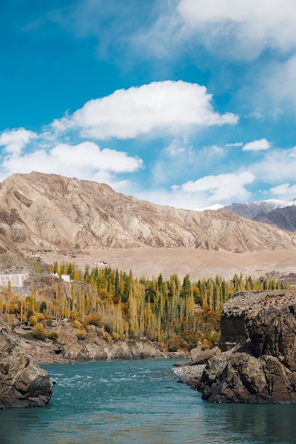 pin árvore e Rio e céu azul com a montanha no outono em Leh Ladakh, Índia