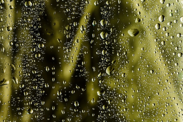 Pingos de chuva close-up no fundo desfocado