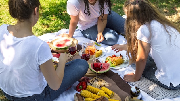 Piquenique de verão com amigos na natureza com comidas e bebidas.