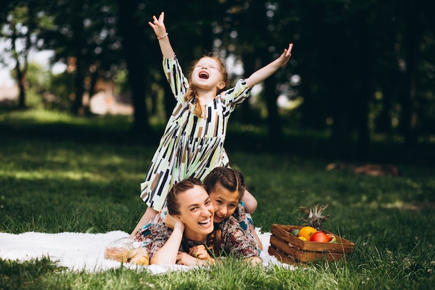 Foto grátis piquenique em família no parque