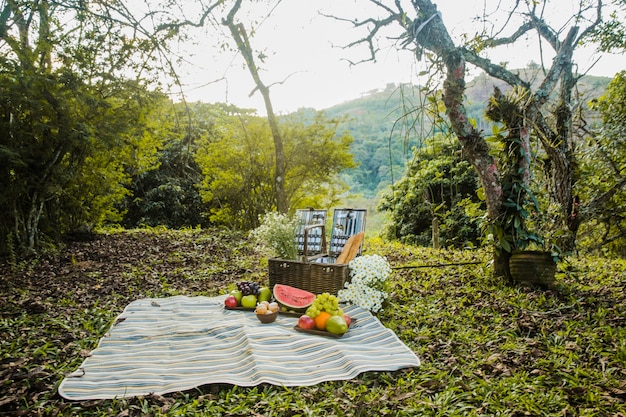 Foto grátis piquenique no campo