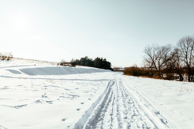 Pista de esqui cross country na paisagem de neve no inverno