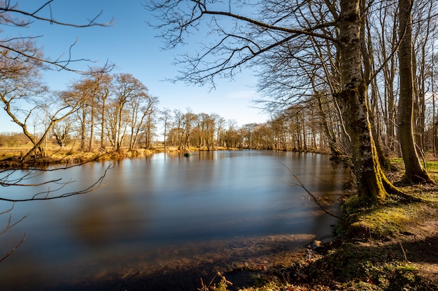 Pitfour lake