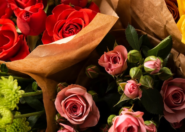 Foto grátis plano de flores rosas coloridas lindamente desabrochadas