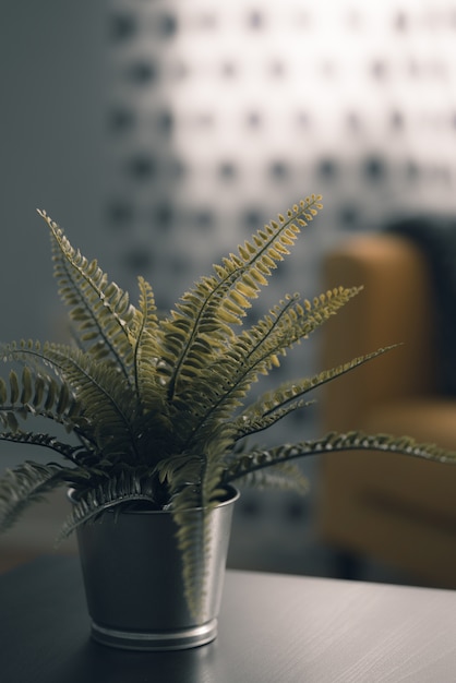 Foto grátis planta bonita verde em uma panela de metal dentro de casa