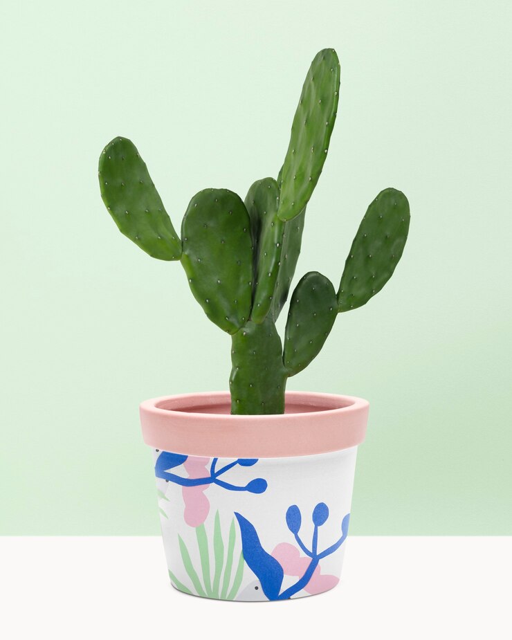 Foto grátis planta cacto cereus em um vaso padronizado