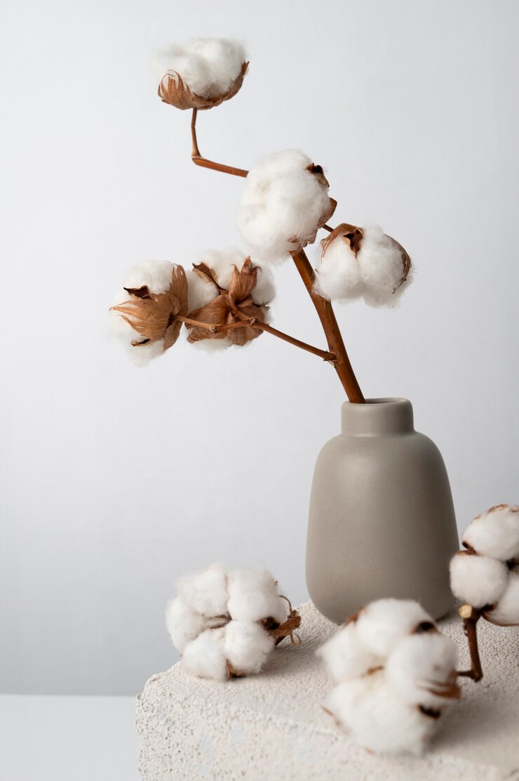 Foto grátis planta de algodão fofo em vaso usada em decoração de interiores