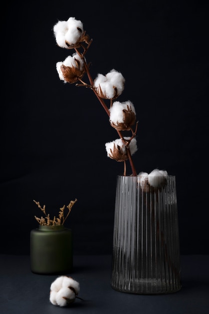 Planta de algodão fofo em vaso usada em decoração de interiores