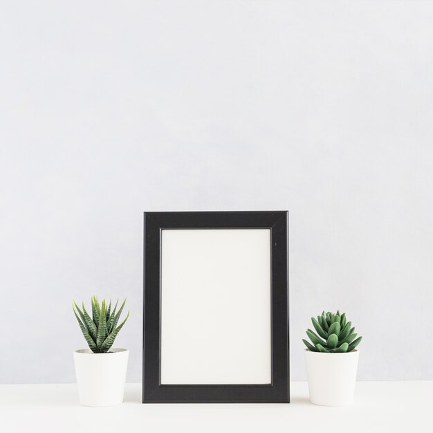 Planta de cacto em vaso entre a moldura na mesa contra o fundo branco