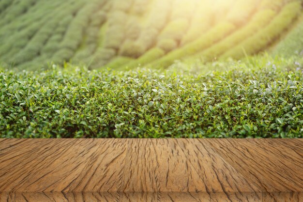 Planta de chá de fundo de mesa de madeira