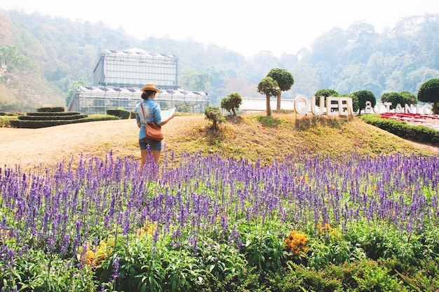 Planta de violeta de férias olhando chapéu verde