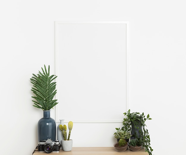 Foto grátis planta decorativa com moldura vazia