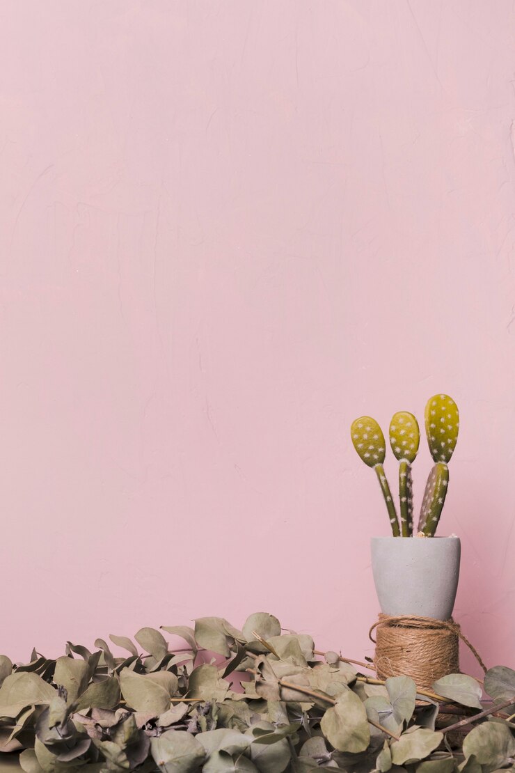 Foto grátis planta decorativa dentro de um vaso mínimo