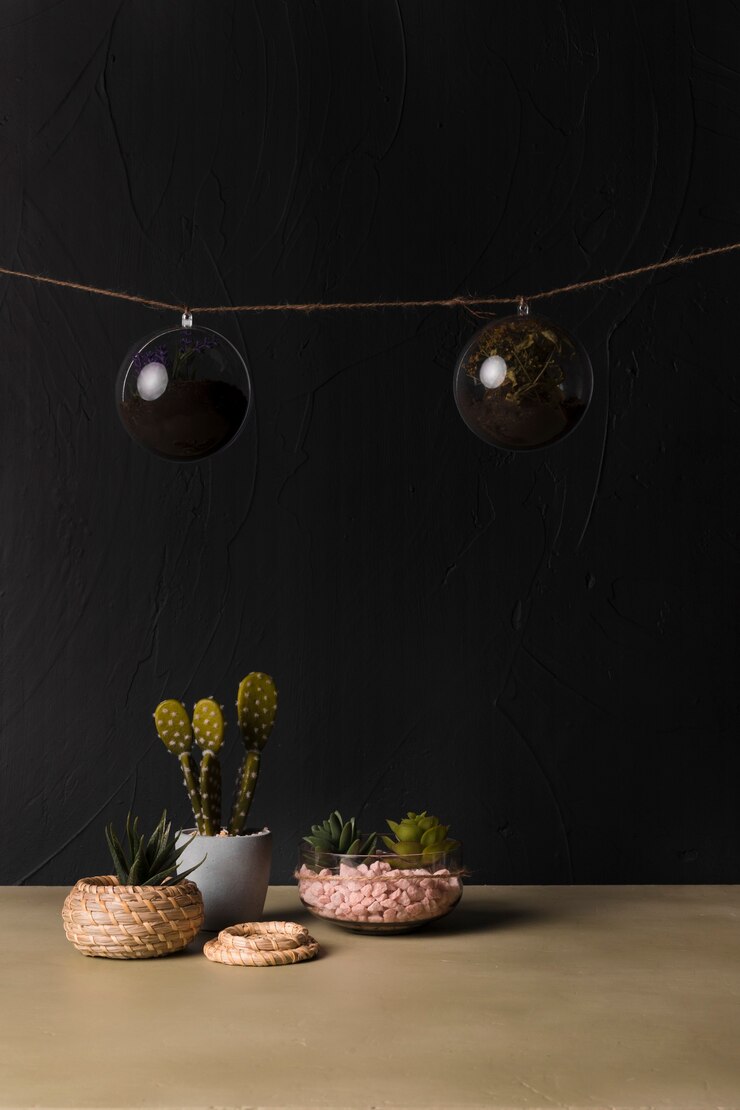 Foto grátis planta decorativa dentro de um vaso mínimo