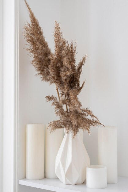 Planta doméstica em arranjo de decoração de vaso