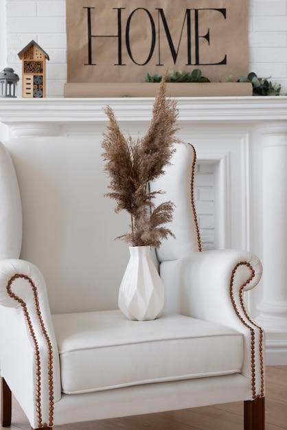 Planta doméstica em arranjo de decoração de vaso