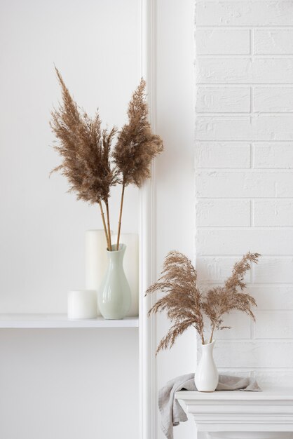 Planta doméstica em arranjo de decoração de vaso