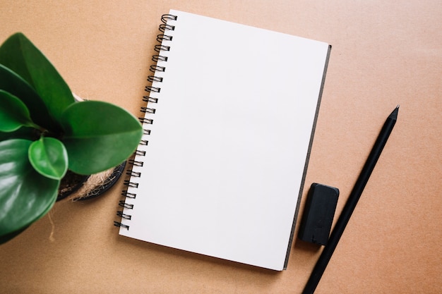 Foto grátis planta e lápis perto do caderno