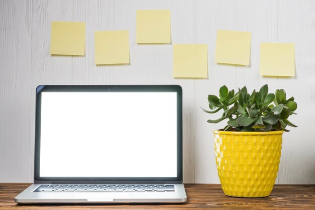 Planta e notas pegajosas perto do laptop