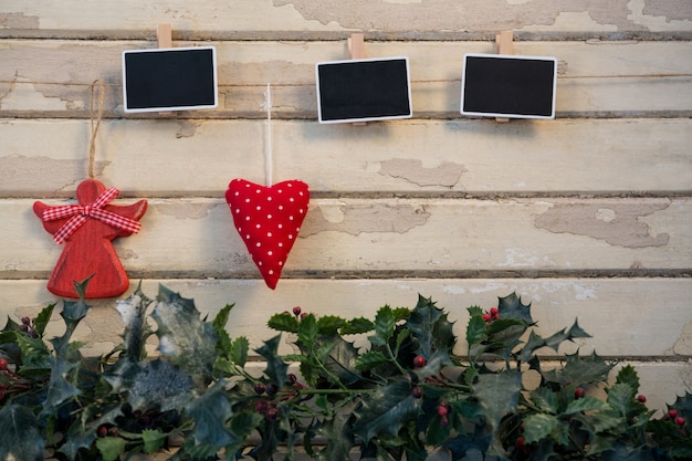 Plantas com fotos em preto pendurado em uma corda