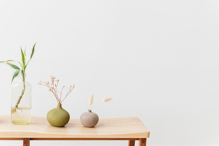 Foto grátis plantas de casa em uma mesa de madeira