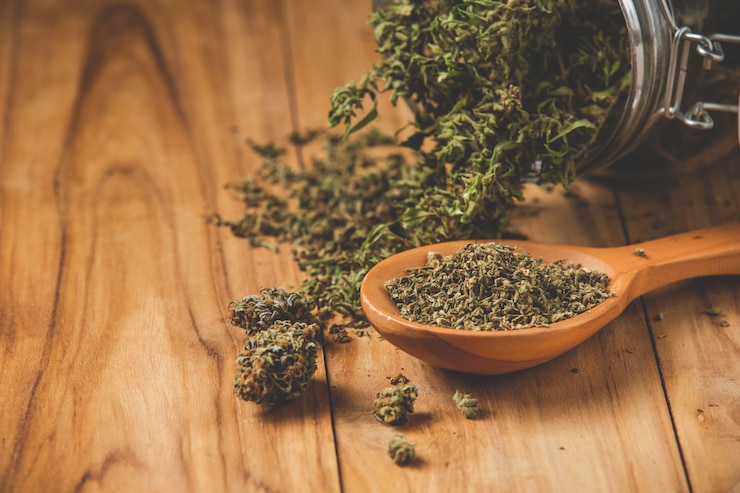 Foto grátis plantas de maconha plantadas legalmente em pisos de madeira