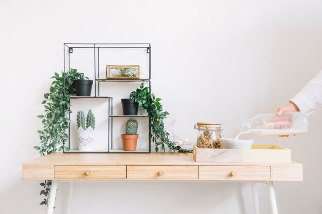 Plantas decorativas na mesa