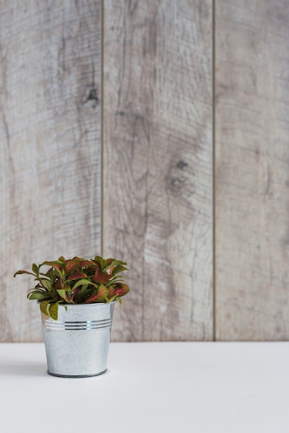 Foto grátis plantas em alumínio na mesa branca contra a parede de madeira