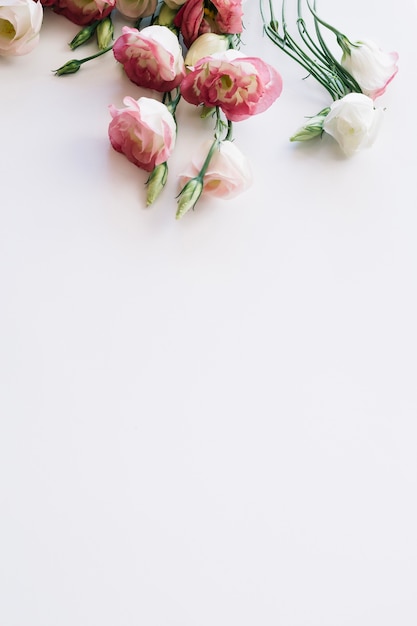 Foto grátis plantas em flor rosa macio