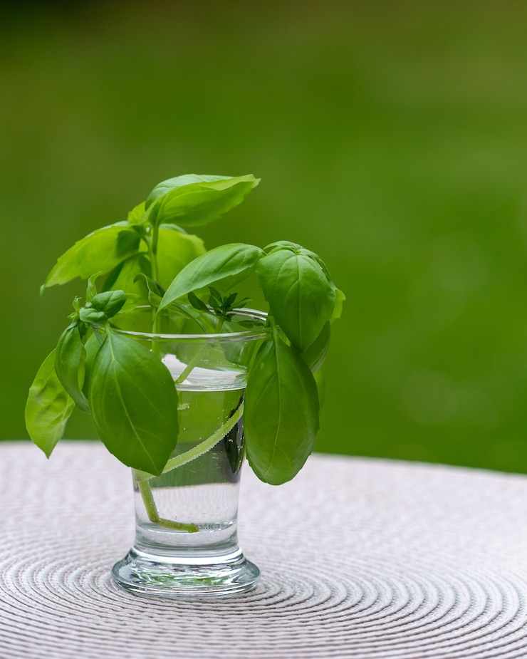 Foto grátis plantas em um copo cheio de água sobre uma mesa de madeira