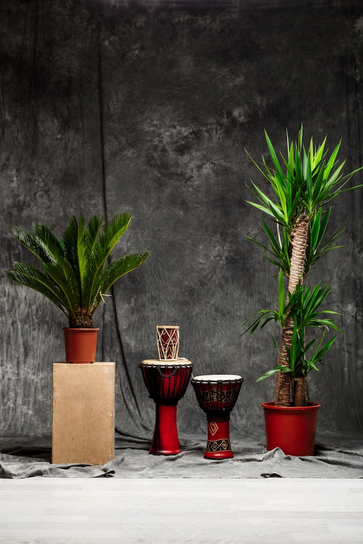 Foto grátis plantas tropicais e tambores sobre a parede cinzenta