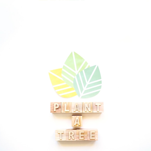 Plante uma inscrição de árvore e folhas coloridas