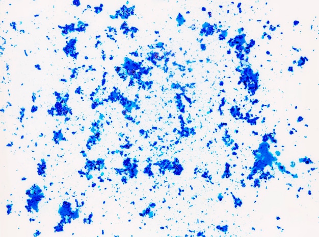 Foto grátis pó de cor holi azul sobre fundo branco